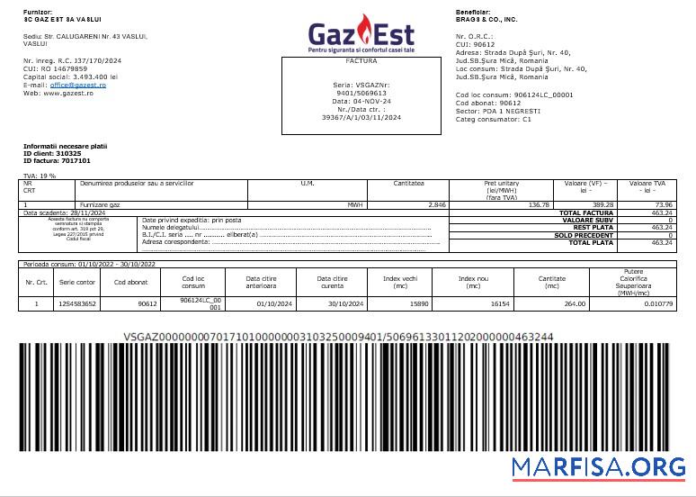 Printable Romania Gaz Est business utility bill Word and PDF template